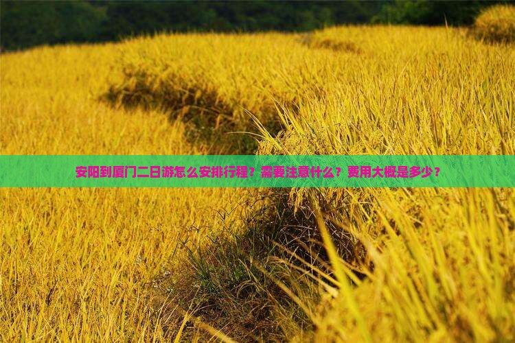 安阳到厦门二日游怎么安排行程？需要注意什么？费用大概是多少？