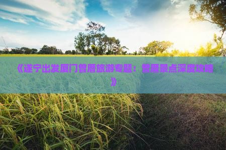 《遂宁出发厦门曾厝旅游专题：曾厝景点深度攻略》