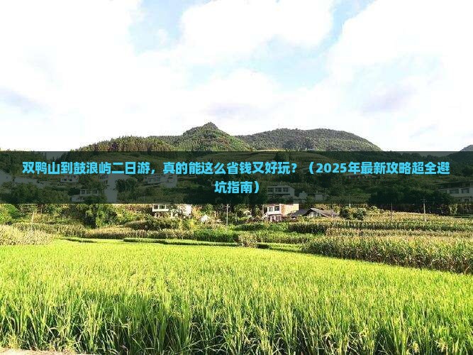 双鸭山到厦门鼓浪屿二日游 双鸭山到厦门鼓浪屿二日游