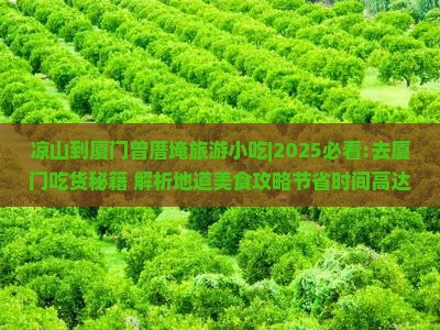 凉山到厦门曾厝埯旅游小吃