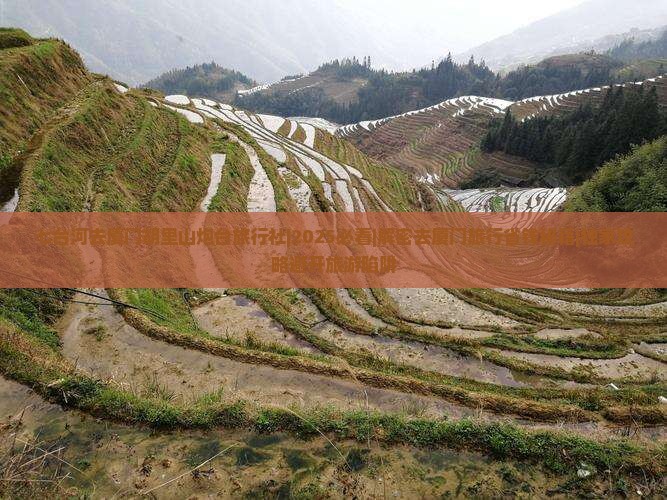 七台河去厦门胡里山炮台旅行社