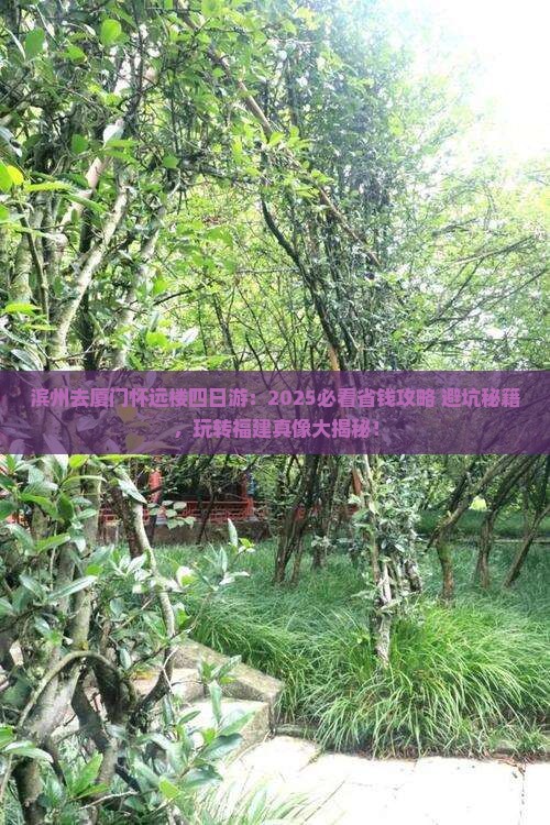 滨州去厦门怀远楼四日游