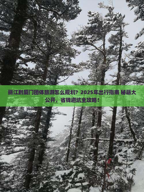 丽江到厦门团体旅游