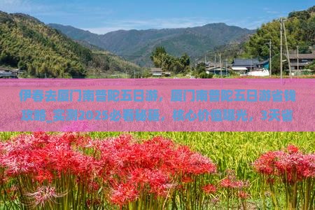 伊春去厦门南普陀五日游