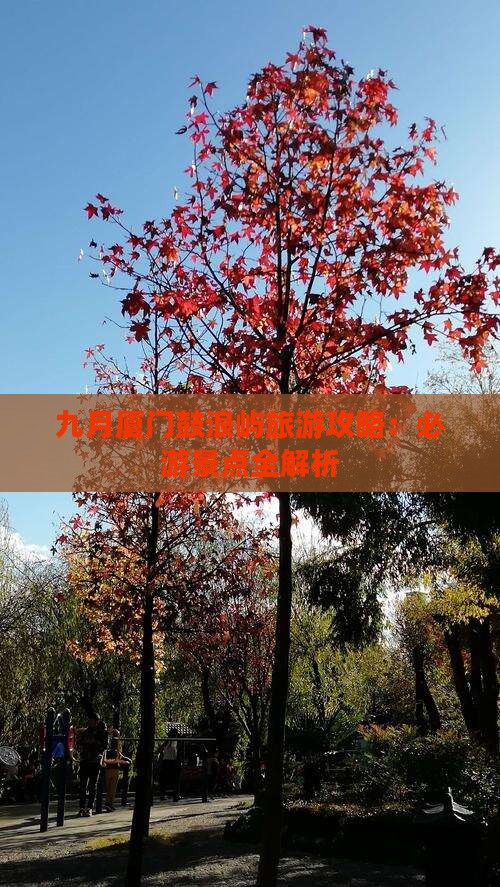 九月到厦门鼓浪屿哪里玩