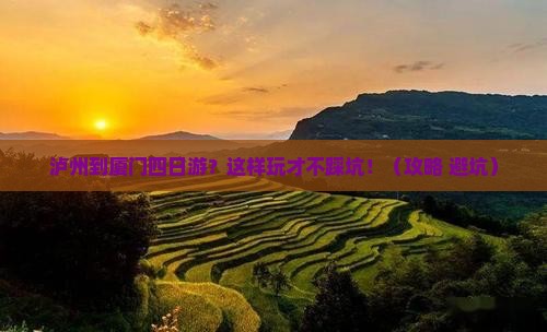 泸州到厦门四日游