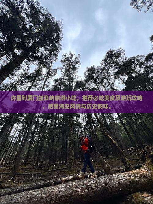 许昌到厦门鼓浪屿旅游小吃