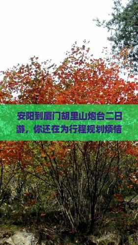 安阳到厦门胡里山炮台二日游