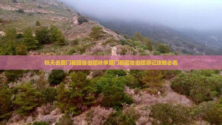 秋天去厦门毓园自由团