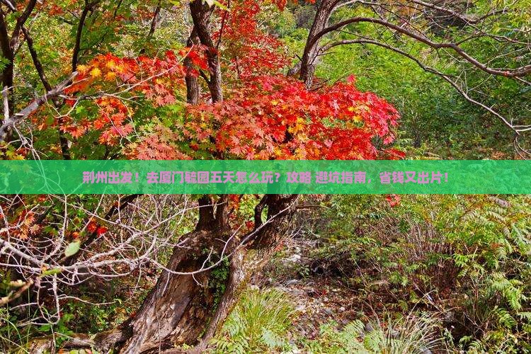 荆州到厦门毓园五日游