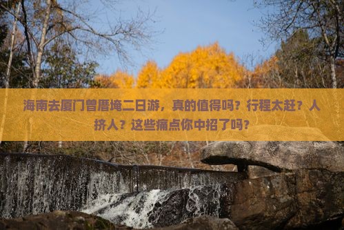 海南去厦门曾厝埯二日游