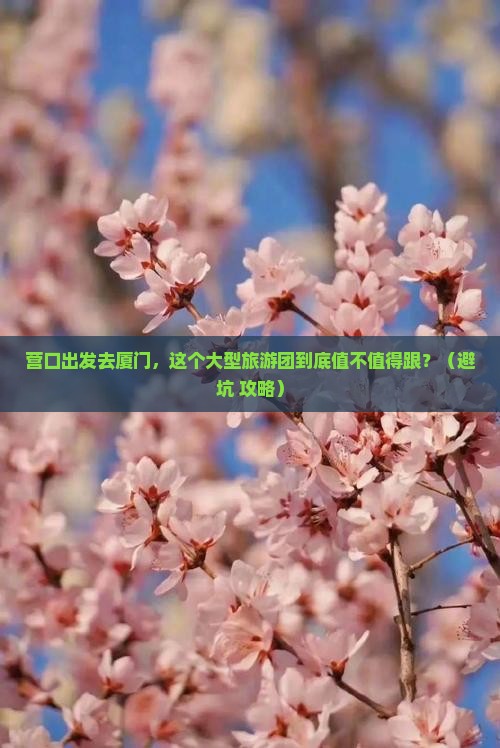 营口去厦门大型旅游团