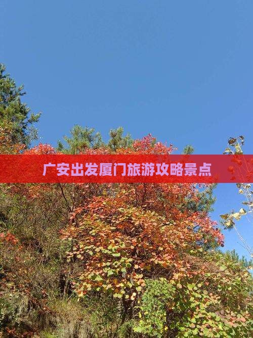 广安到厦门景点