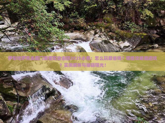 伊犁哈萨克去厦门南普陀自由团