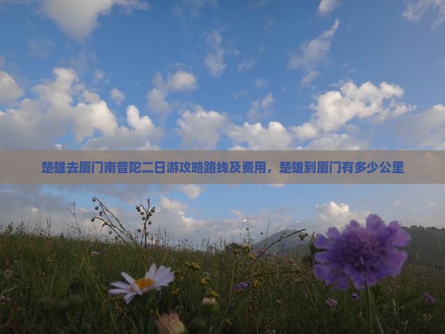 楚雄去厦门南普陀二日游