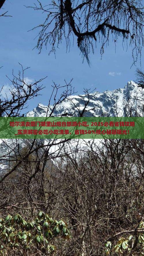 哈尔滨去厦门胡里山炮台旅游小吃