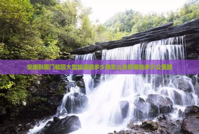 安康到厦门毓园大型旅游团