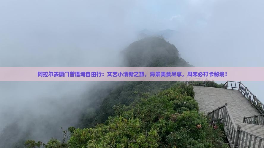 阿拉尔去厦门曾厝埯自由行