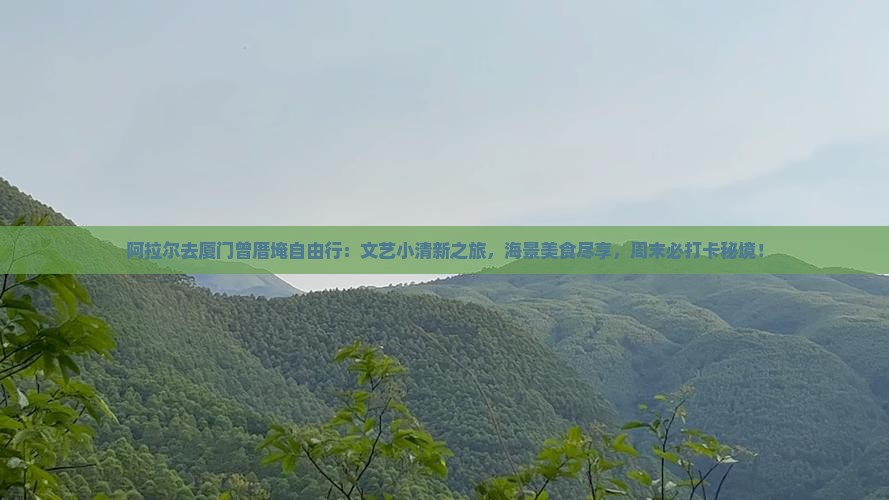阿拉尔去厦门曾厝埯自由行