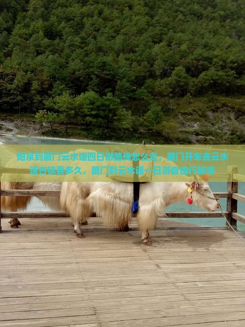 阳泉到厦门云水谣四日游