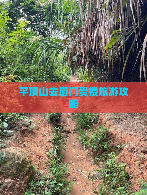 平顶山去厦门和贵楼旅游