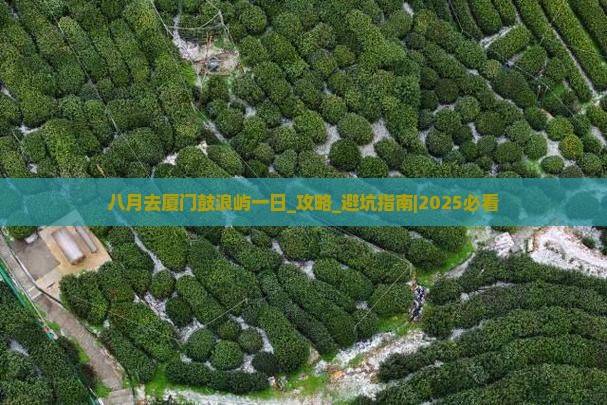 八月去厦门鼓浪屿一日