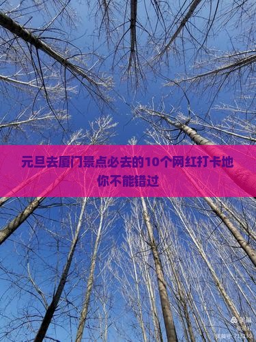 元旦去厦门景点