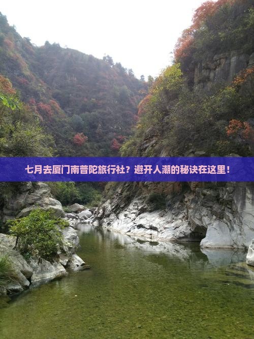 七月去厦门南普陀旅行社