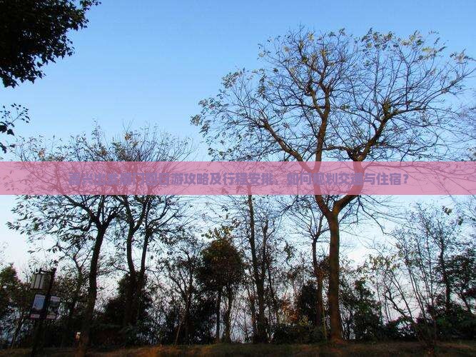 嘉兴出发厦门四日游攻略及行程安排，如何规划交通与住宿？