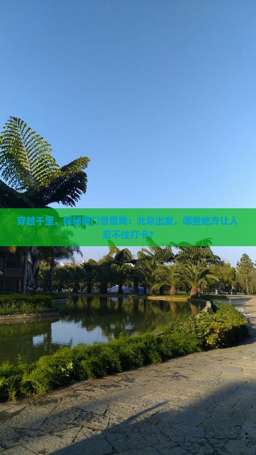穿越千里，探秘厦门曾厝埯：北京出发，哪些地方让人忍不住打卡？