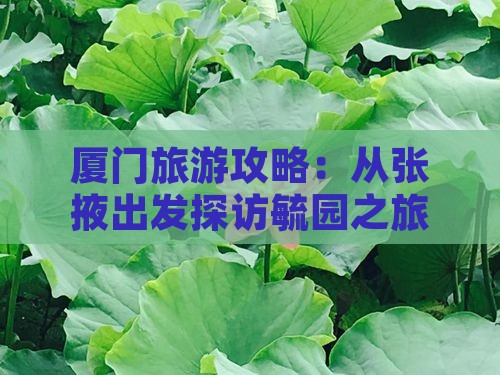 厦门旅游攻略：从张掖出发探访毓园之旅
