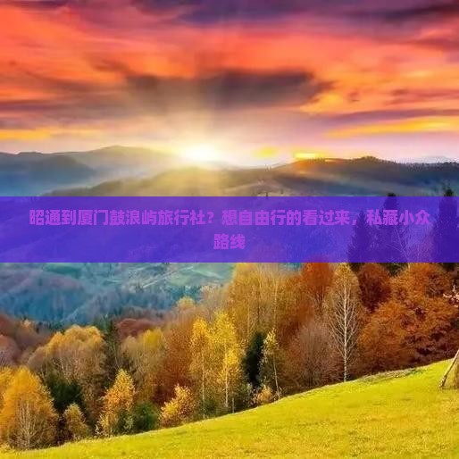 昭通到厦门鼓浪屿旅行社？想自由行的看过来，私藏小众路线