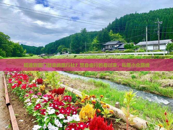 昭通到厦门鼓浪屿旅行社？想自由行的看过来，私藏小众路线