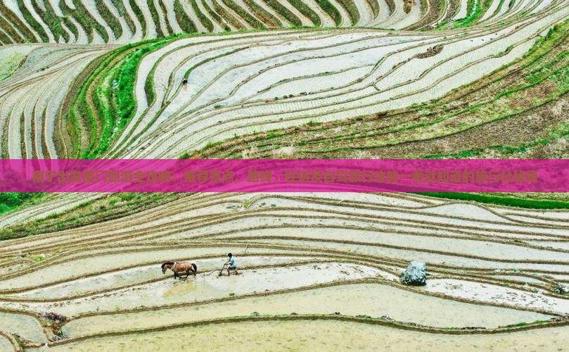 南宁出发厦门旅游全攻略：推荐景点、路线、住宿及自驾旅行攻略一看就知道的旅行社秘籍