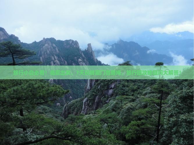 旅行小白必看！临夏出发，7天玩转厦门曾厝埯，旅行团攻略疑问大解答！