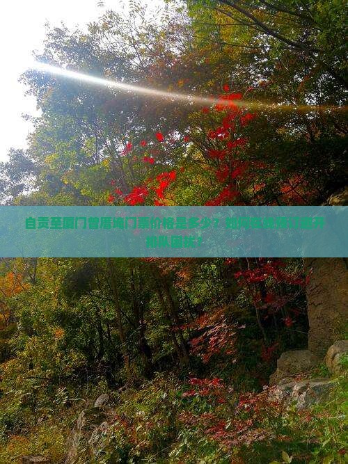 自贡至厦门曾厝埯门票价格是多少？如何在线预订避开排队困扰？
