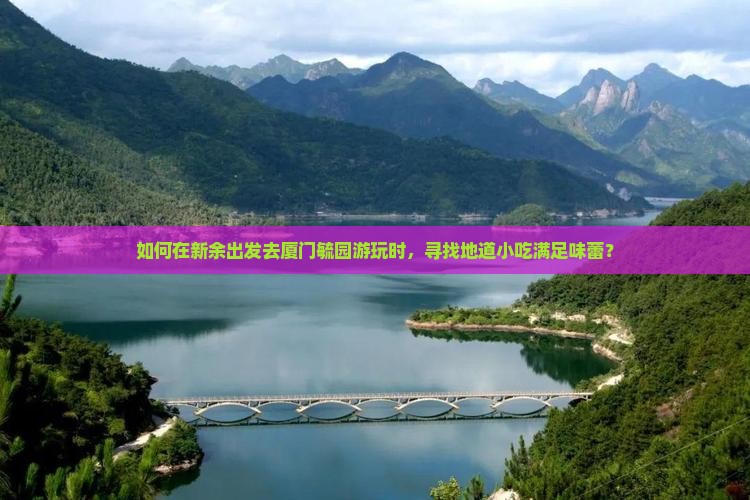 如何在新余出发去厦门毓园游玩时，寻找地道小吃满足味蕾？