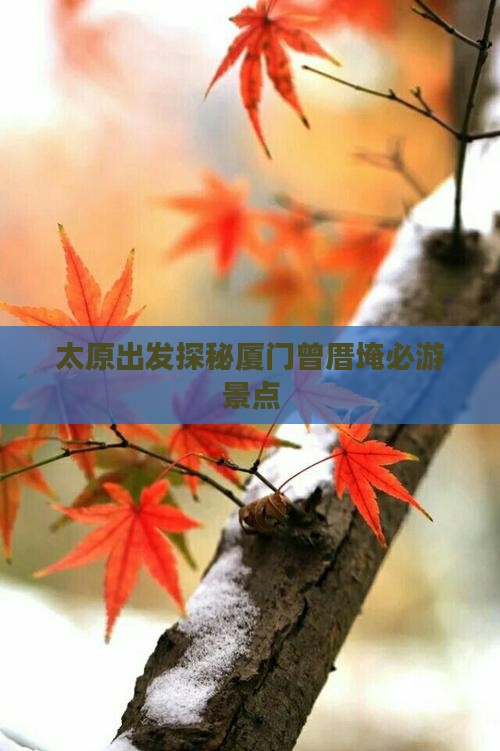 太原出发探秘厦门曾厝埯必游景点