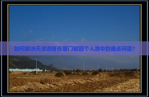 如何解决天津游客在厦门毓园个人游中的痛点问题？