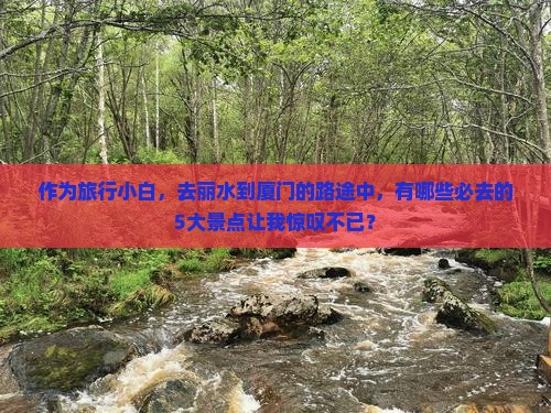 作为旅行小白，去丽水到厦门的路途中，有哪些必去的5大景点让我惊叹不已？