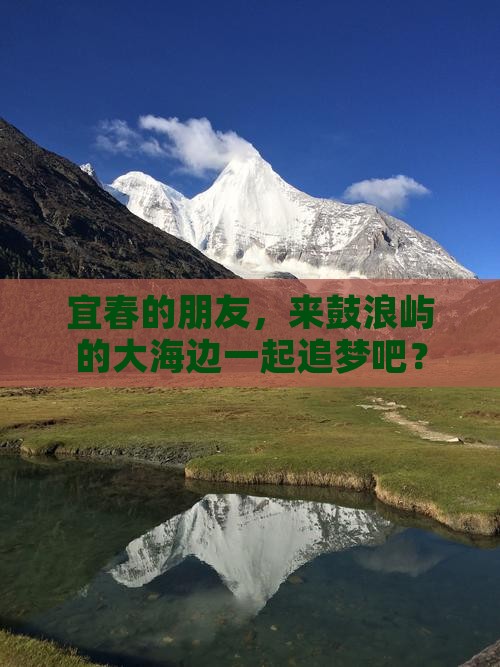 宜春的朋友，来鼓浪屿的大海边一起追梦吧？