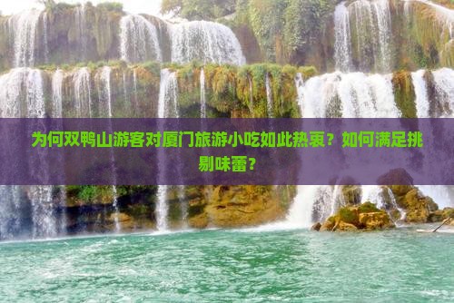 为何双鸭山游客对厦门旅游小吃如此热衷？如何满足挑剔味蕾？
