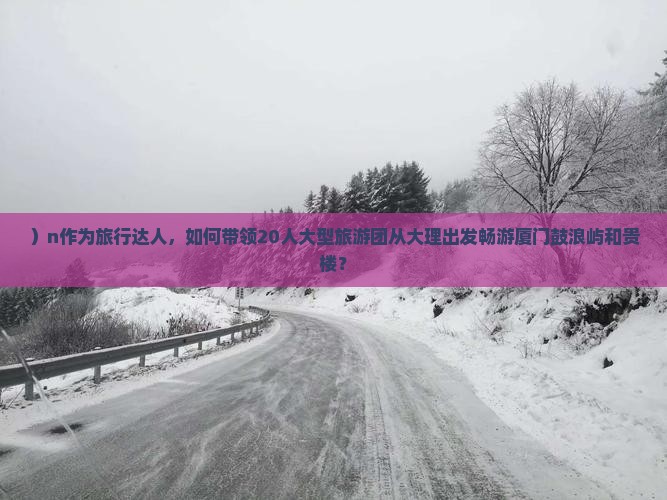 ）n作为旅行达人，如何带领20人大型旅游团从大理出发畅游厦门鼓浪屿和贵楼？