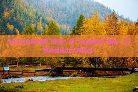 如何从哈茅游厦门贵楼？热门自由团旅行痛点，解锁高品质出行新体验！