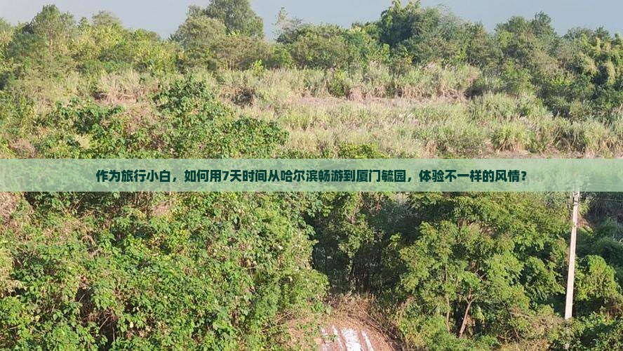 作为旅行小白，如何用7天时间从哈尔滨畅游到厦门毓园，体验不一样的风情？