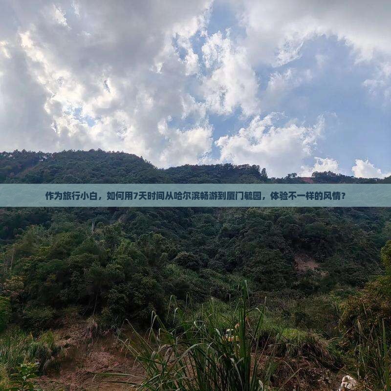 作为旅行小白，如何用7天时间从哈尔滨畅游到厦门毓园，体验不一样的风情？