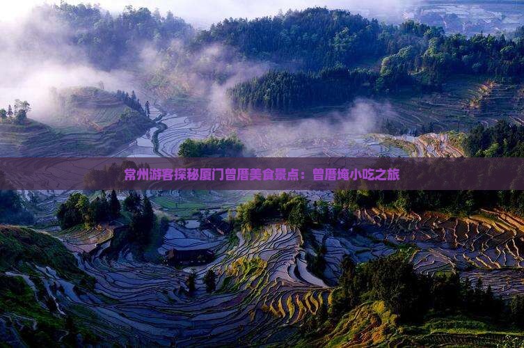 常州游客探秘厦门曾厝美食景点：曾厝埯小吃之旅