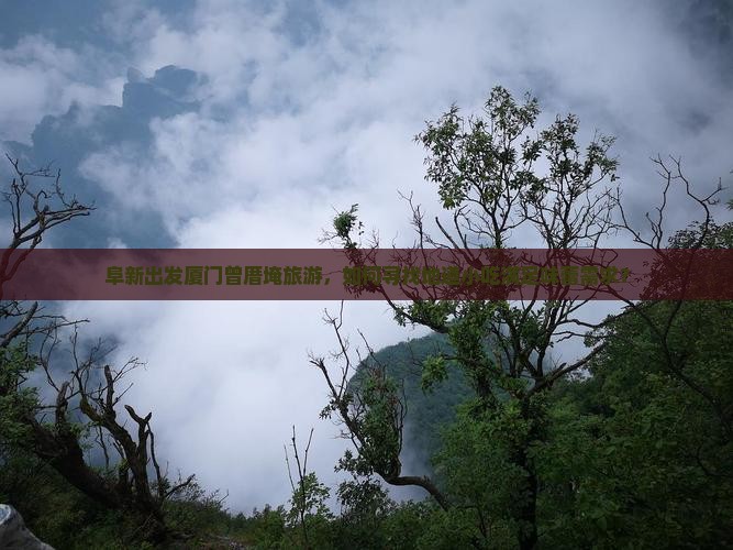 阜新出发厦门曾厝埯旅游，如何寻找地道小吃满足味蕾需求？