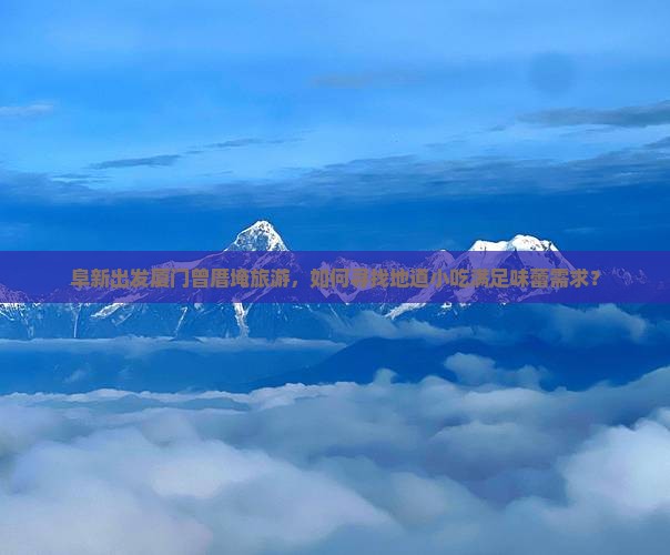 阜新出发厦门曾厝埯旅游，如何寻找地道小吃满足味蕾需求？