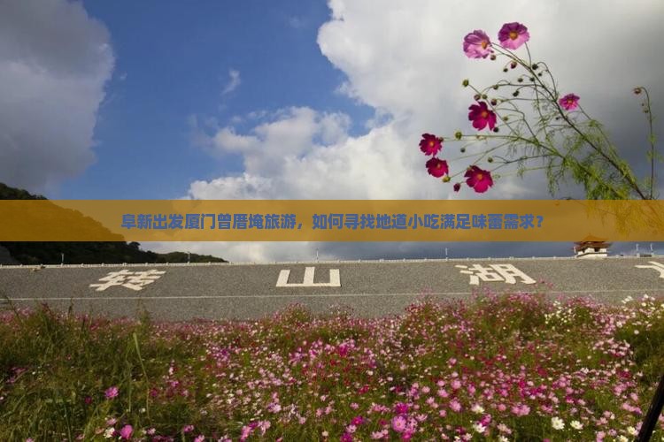 阜新出发厦门曾厝埯旅游，如何寻找地道小吃满足味蕾需求？
